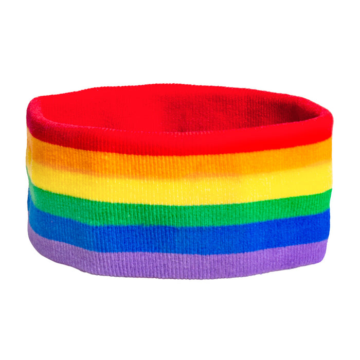 Set zweetbandjes regenboog