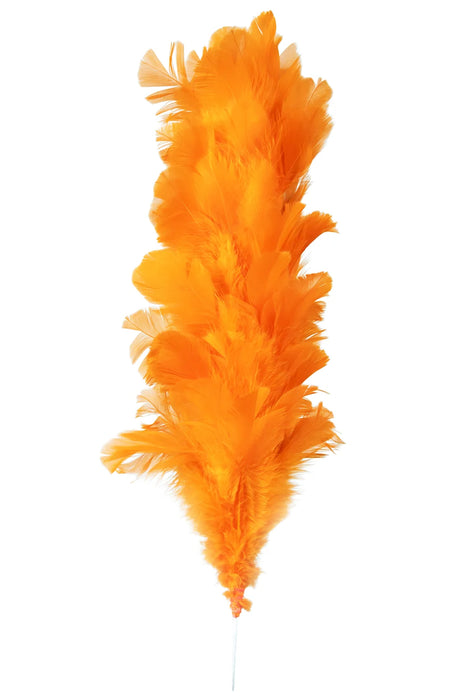 Veerpluim 22cm