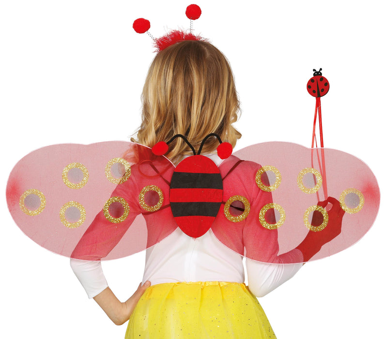 Ladybug accessoires set