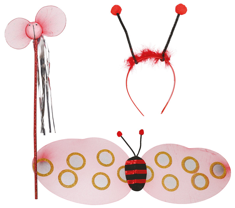 Ladybug accessoires set