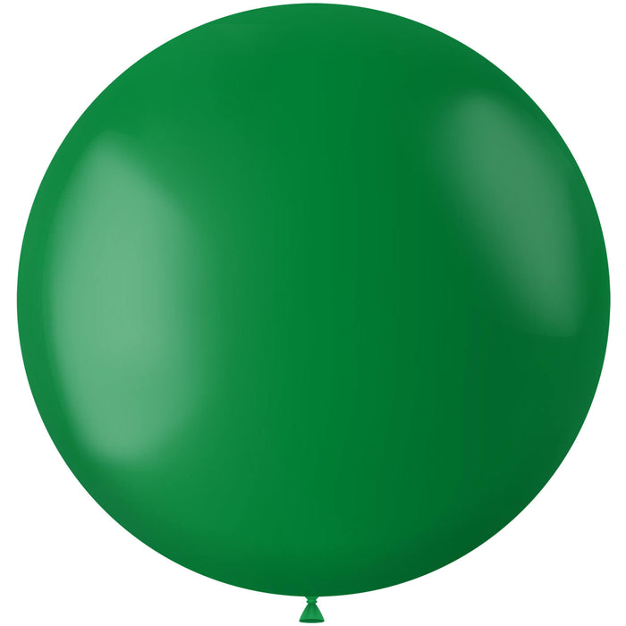 XL Ballonnen matte kleuren - biologisch afbreekbaar