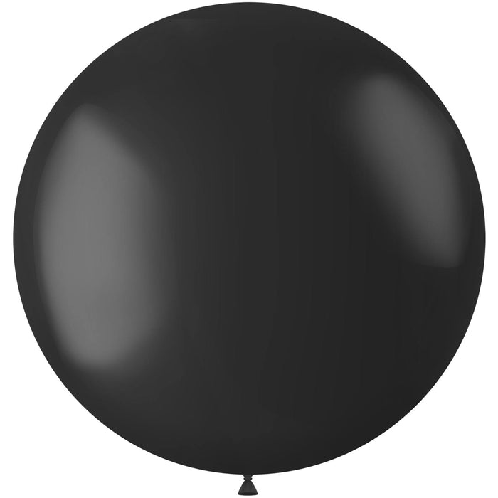 XL Ballonnen matte kleuren - biologisch afbreekbaar
