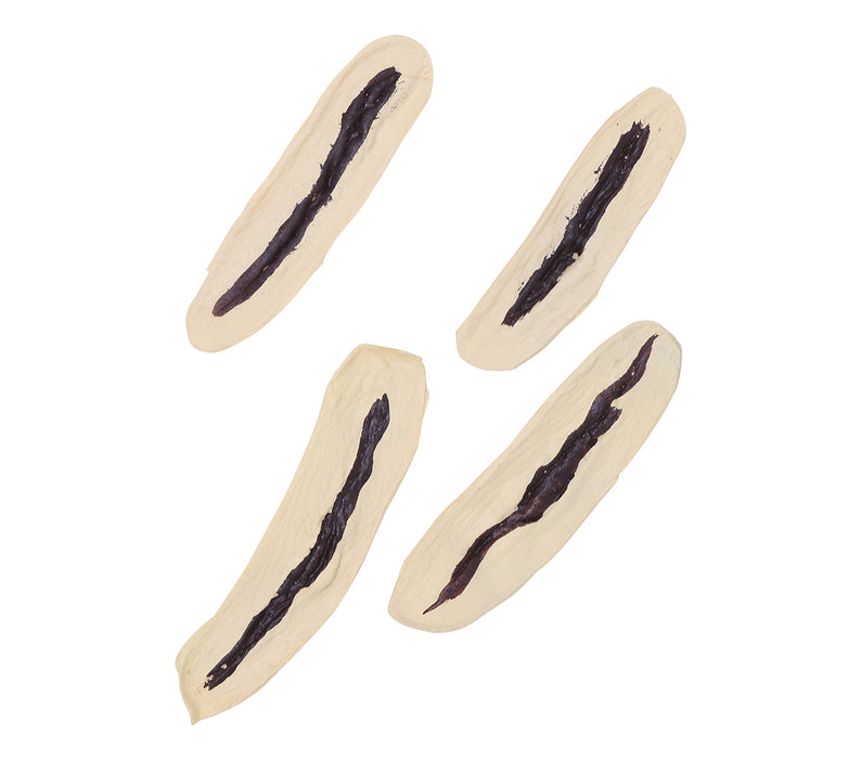 Set van 4 Latex Littekens