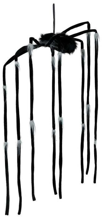 Hangende Langpoot Spin 80x46cm