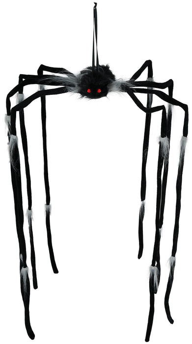 Hangende Langpoot Spin 80x46cm