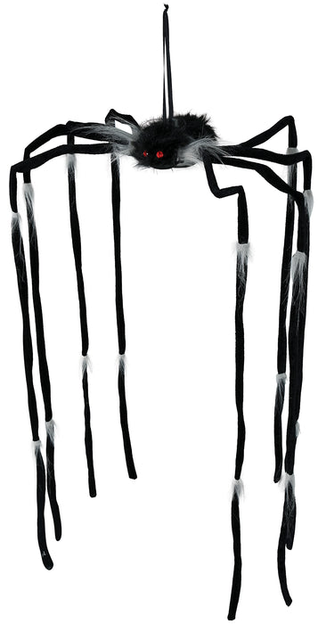 Hangende Langpoot Spin 80x46cm