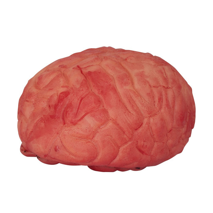 Bloederige nep Hersens