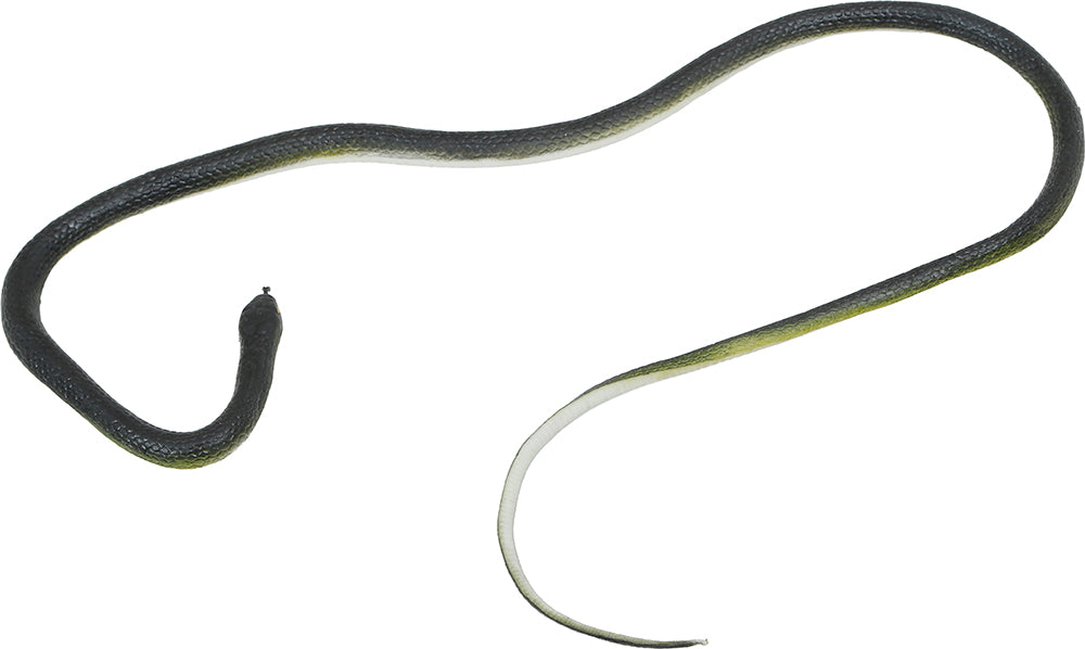 Fop Slang aan een vislijn