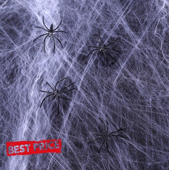 Spinnenweb met spinnen