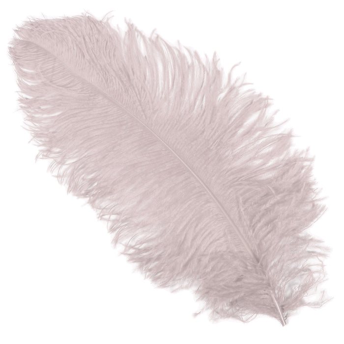 Struisveer Spadona 50-60cm