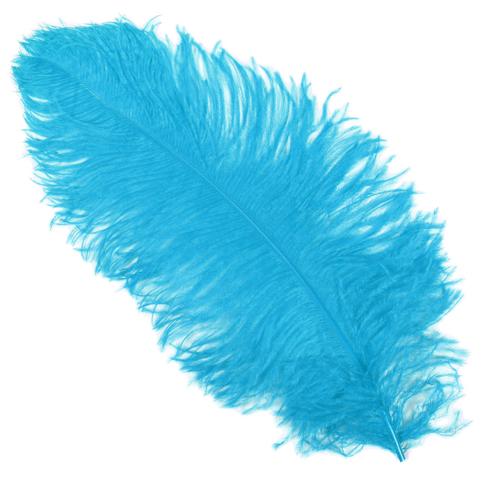 Struisveer Spadona 50-60cm