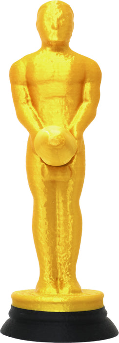 Trofee Mister BIG