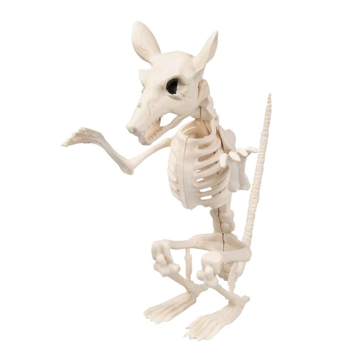 Decoratie Skelet rat Cheddar