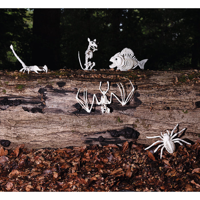 Decoratie Skelet rat Cheddar