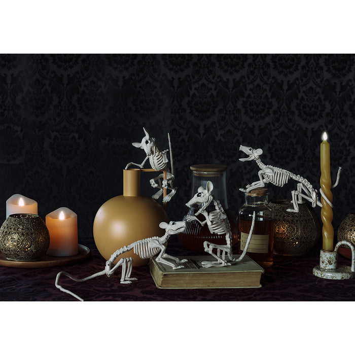 Decoratie Skelet rat Cheddar