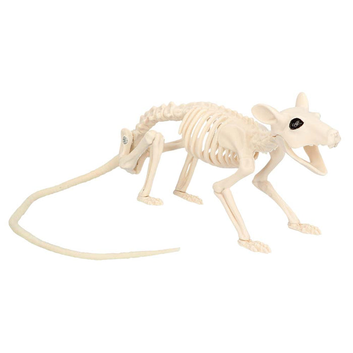 Decoratie Skelet rat Nibbles