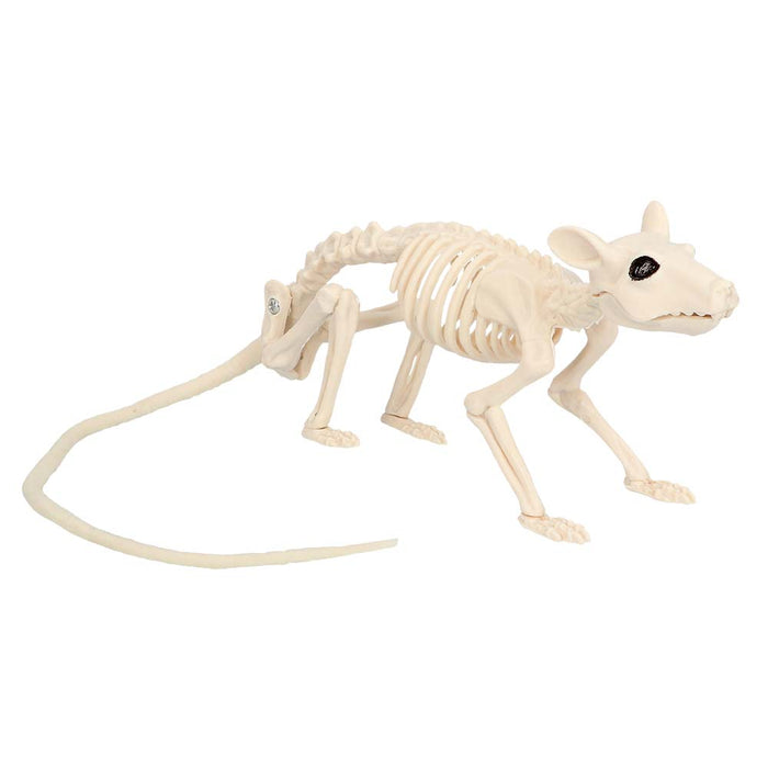 Decoratie Skelet rat Nibbles