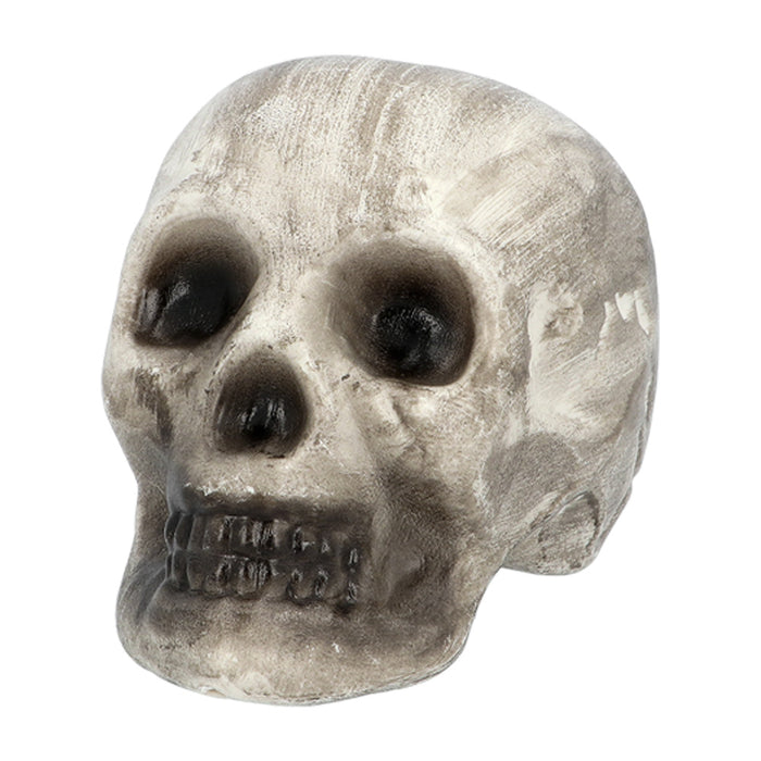 Set 6 Schedel en beenderen