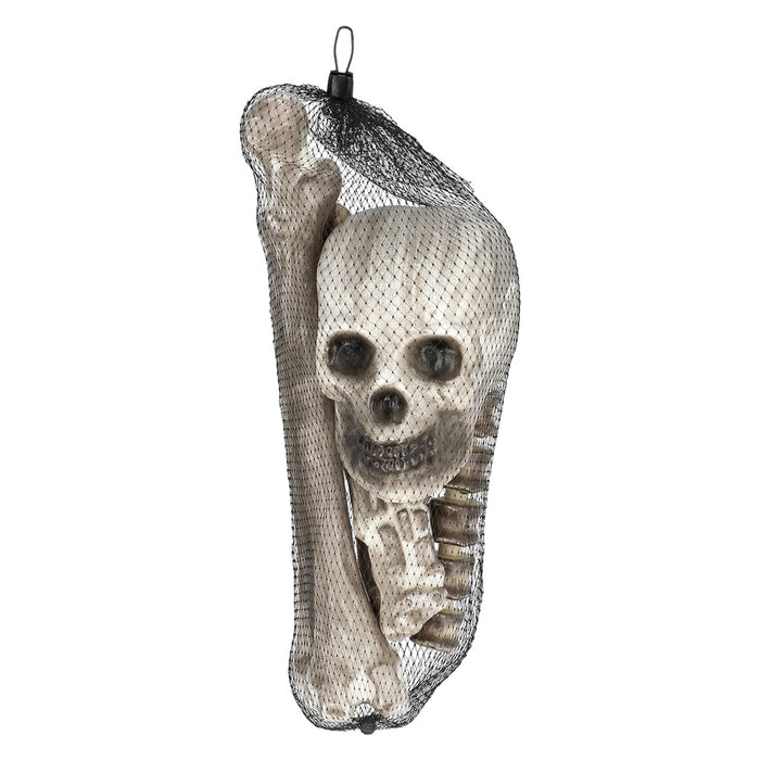 Set 6 Schedel en beenderen