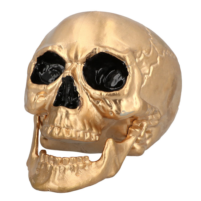 Gouden Schedel Maxilla 24cm
