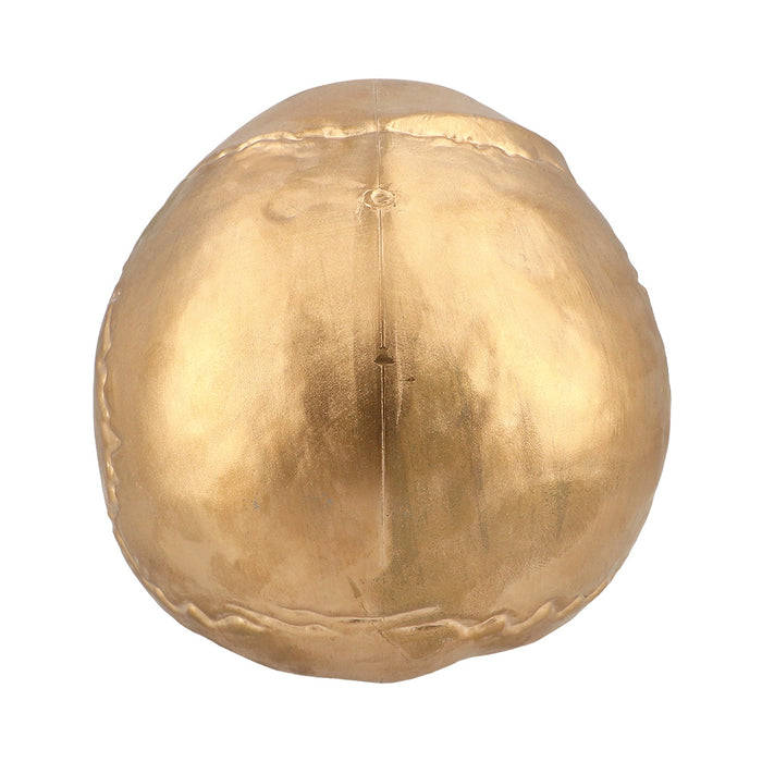Gouden Schedel Maxilla 24cm