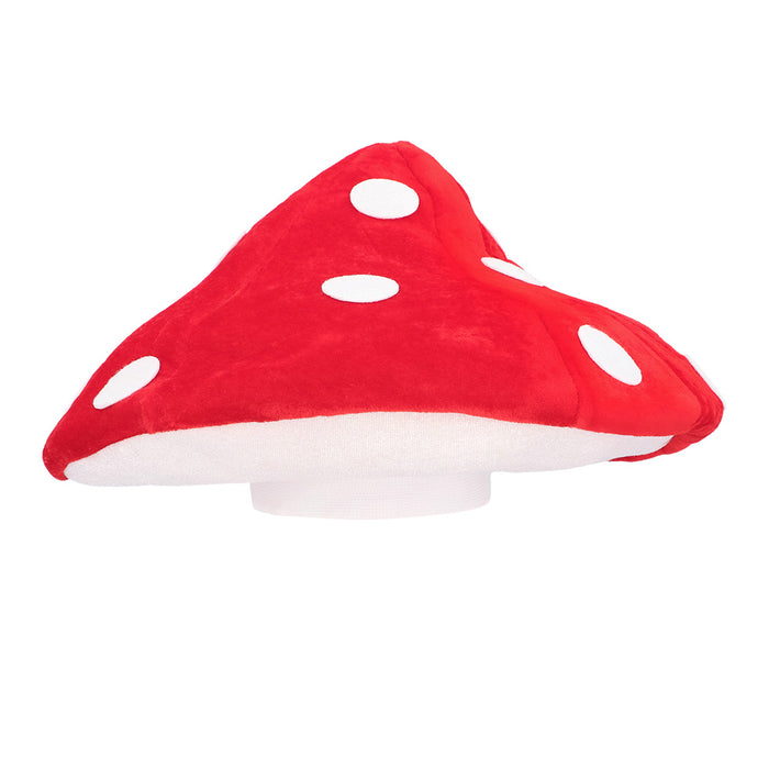 Hoed Paddenstoel