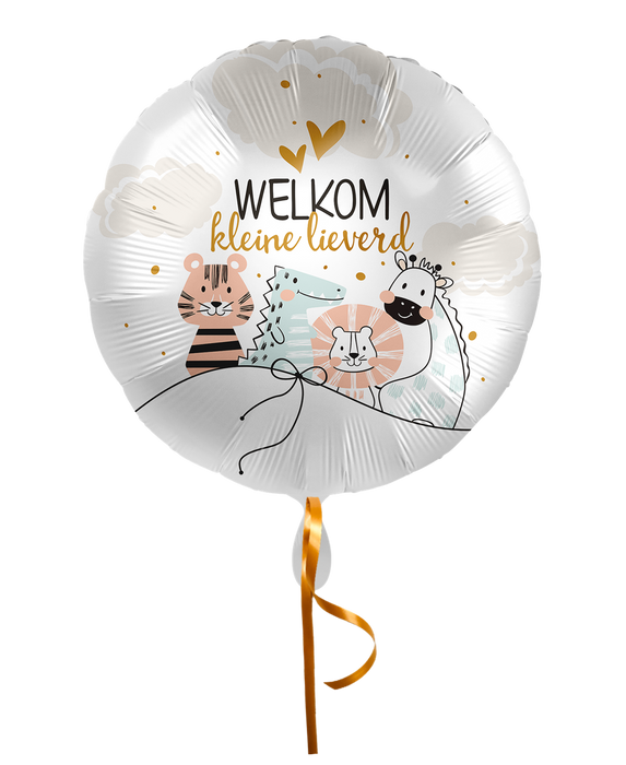 Folieballon Welkom kleine lieverd