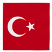 Servetten Turkije 33x33cm 20st
