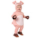 Kostuum Pinky Pig (2-3 jr)