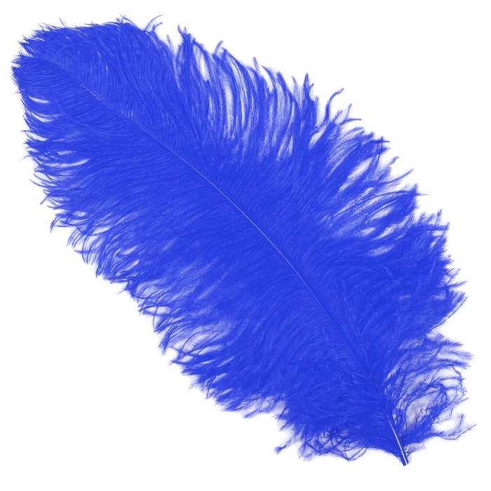 Struisveer Spadona 50-60cm