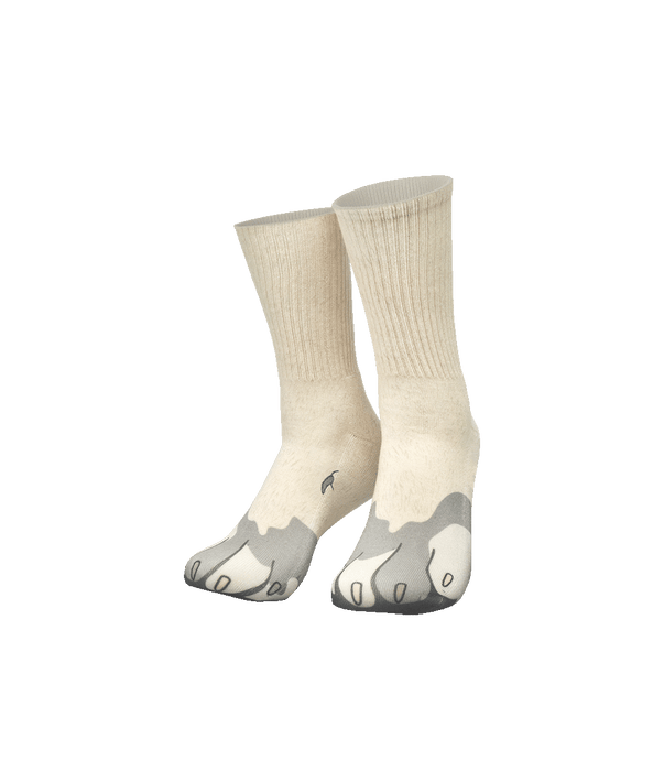 Silly socks - Hond