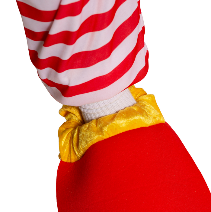 Funkostuum Funky Kip