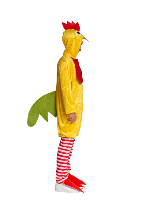 Funkostuum Funky Kip