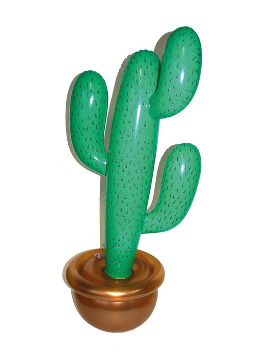 Cactus opblaasbaar