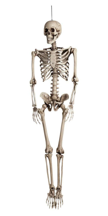Decoratie Skelet 160cm