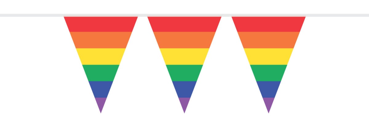 vlaggenlijn pe 10m regenboog