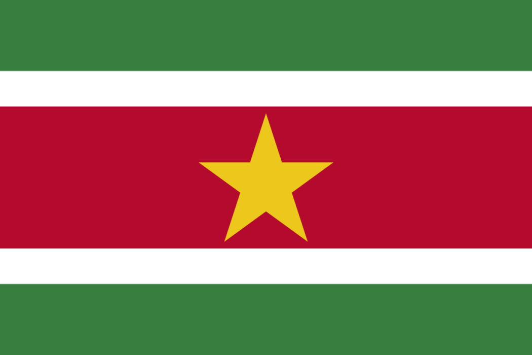Landenvlag Suriname 90 x 150 cm