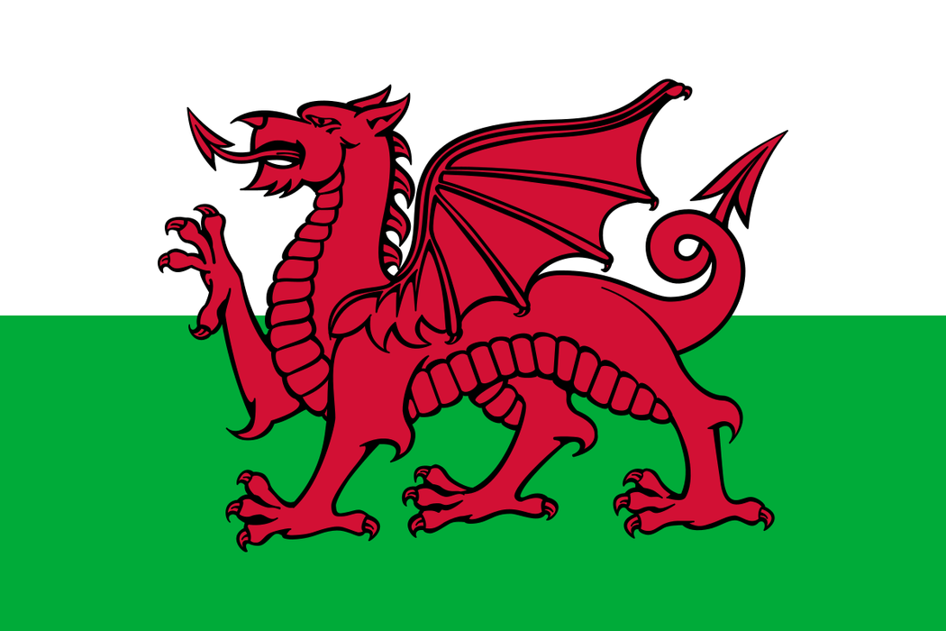 Landenvlag Wales 90 x 150 cm